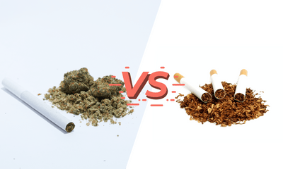 Hemp Cigarettes VS Tobacco Cigarettes: What Does The Research Say?