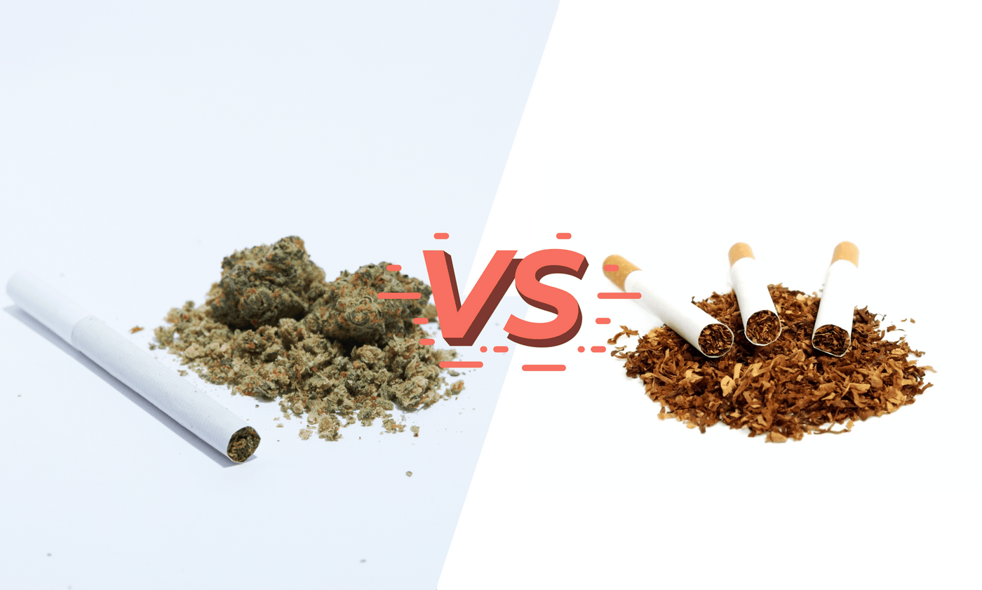 Hemp Cigarettes VS Tobacco Cigarettes: What Does The Research Say? | jeffreyshemp.com