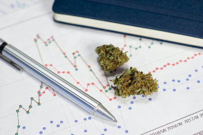 The Future Of Smokable Hemp